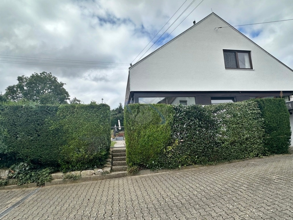 Haus Kaufen Immobilien Merz